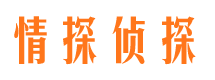 灯塔情探私家侦探公司